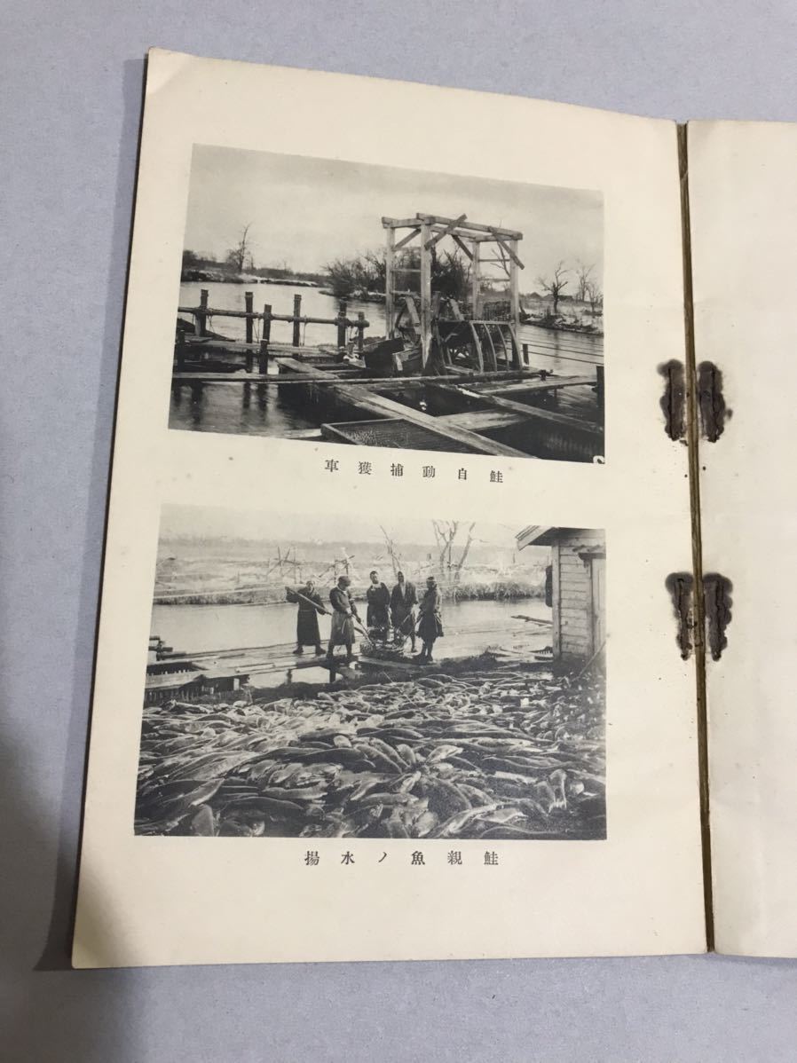 昭和4年発行　北海道庁千歳鮭鱒孵化場要覧　資料　1929年　サーモン　_画像2