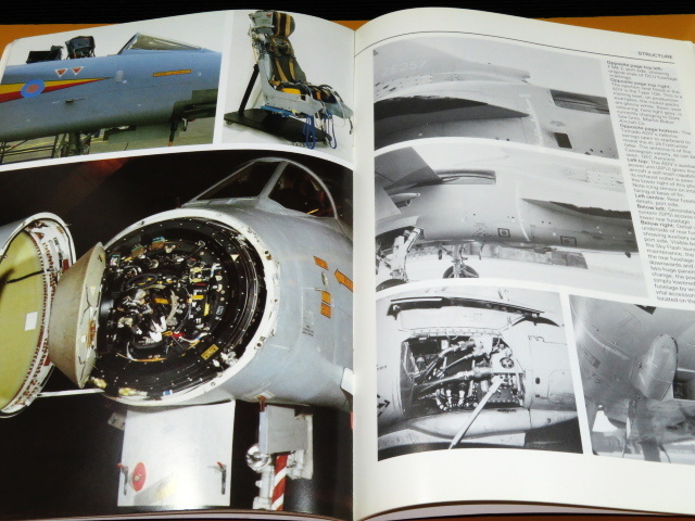 B エアロガイドシリーズ 21 パナビア トーネード F.2 / F.3_画像6