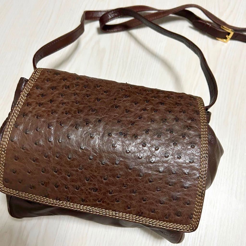 1円スタート【定価15万円】 正規品 LOEWE ロエベ オーストリッチ ショルダーバッグ ナッパレザー ブラウン ロゴ 肩がけ_画像2