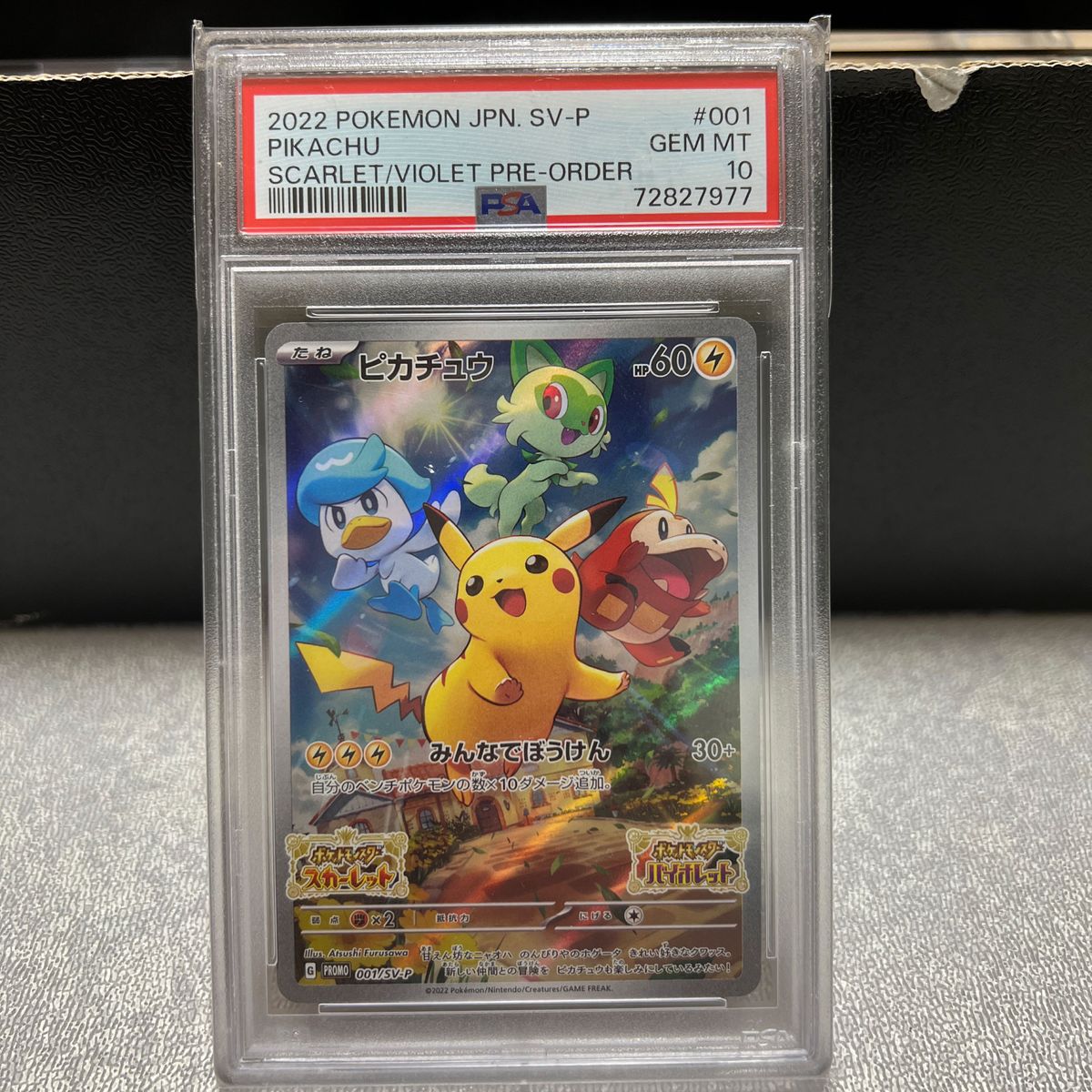 お値下げ不可品 PSA10 ピカチュウ 224/XY-P みんなでいわう プロモ