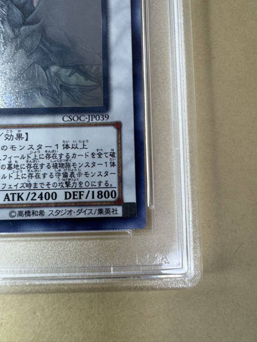 ブラック・ローズ・ドラゴン ホログラフィックレア psa10 遊戯王 ブラック・ローズ・ドラゴン ホログラフィックレア psa10 遊戯王