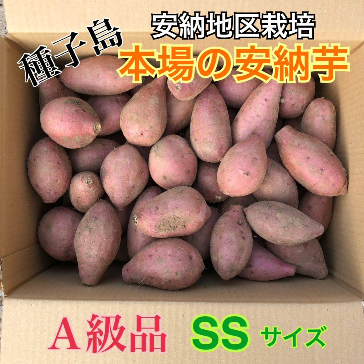 種子島　農家直送！安納地区の安納芋　SS ４キロ　A級品_画像1