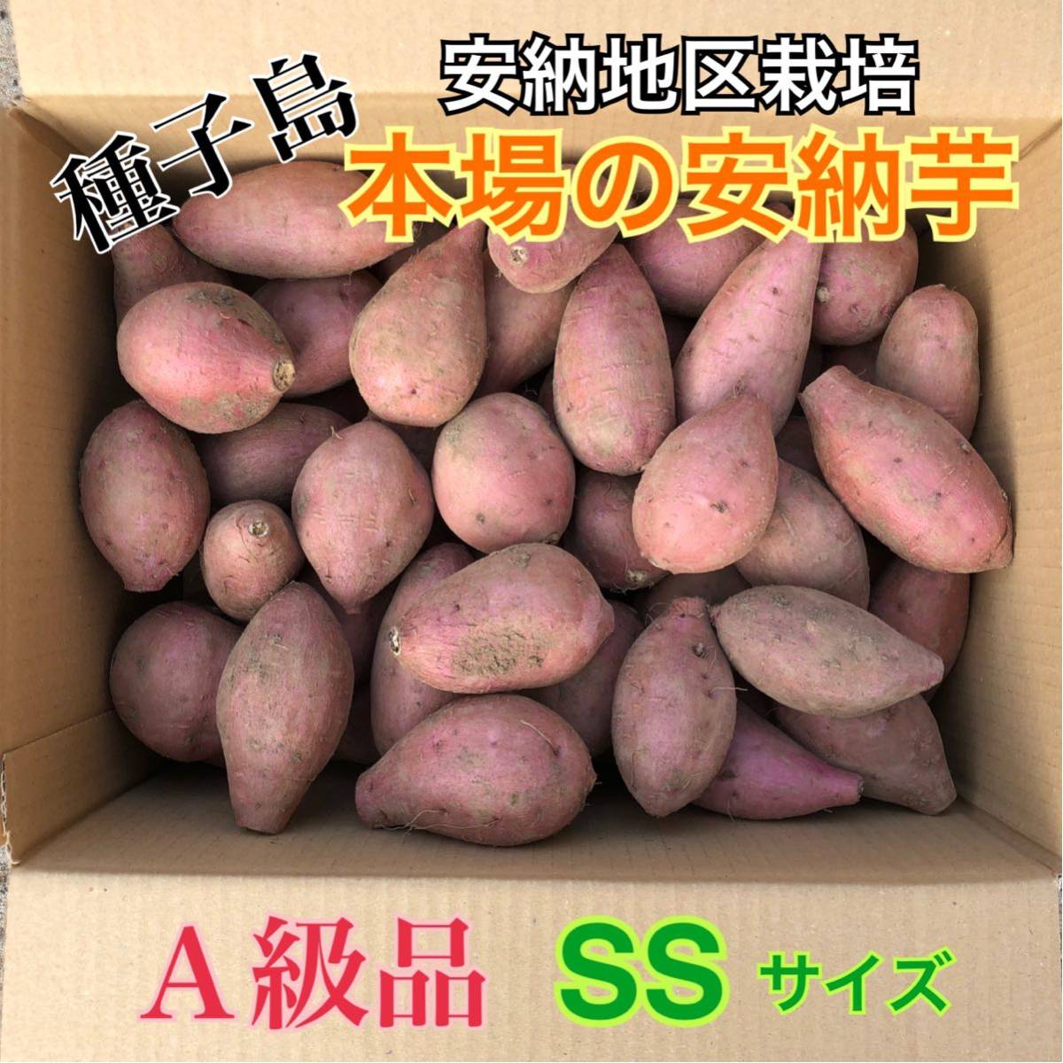 種子島　農家直送！安納地区の安納芋　SS 5キロ　A級品_画像2