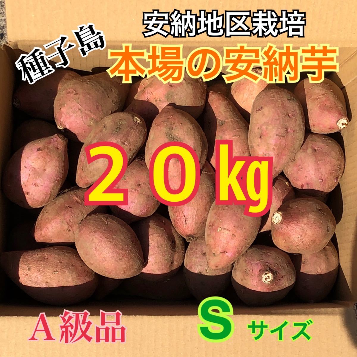 種子島　農家直送！安納地区の安納芋　S 20キロ　A級品_画像1