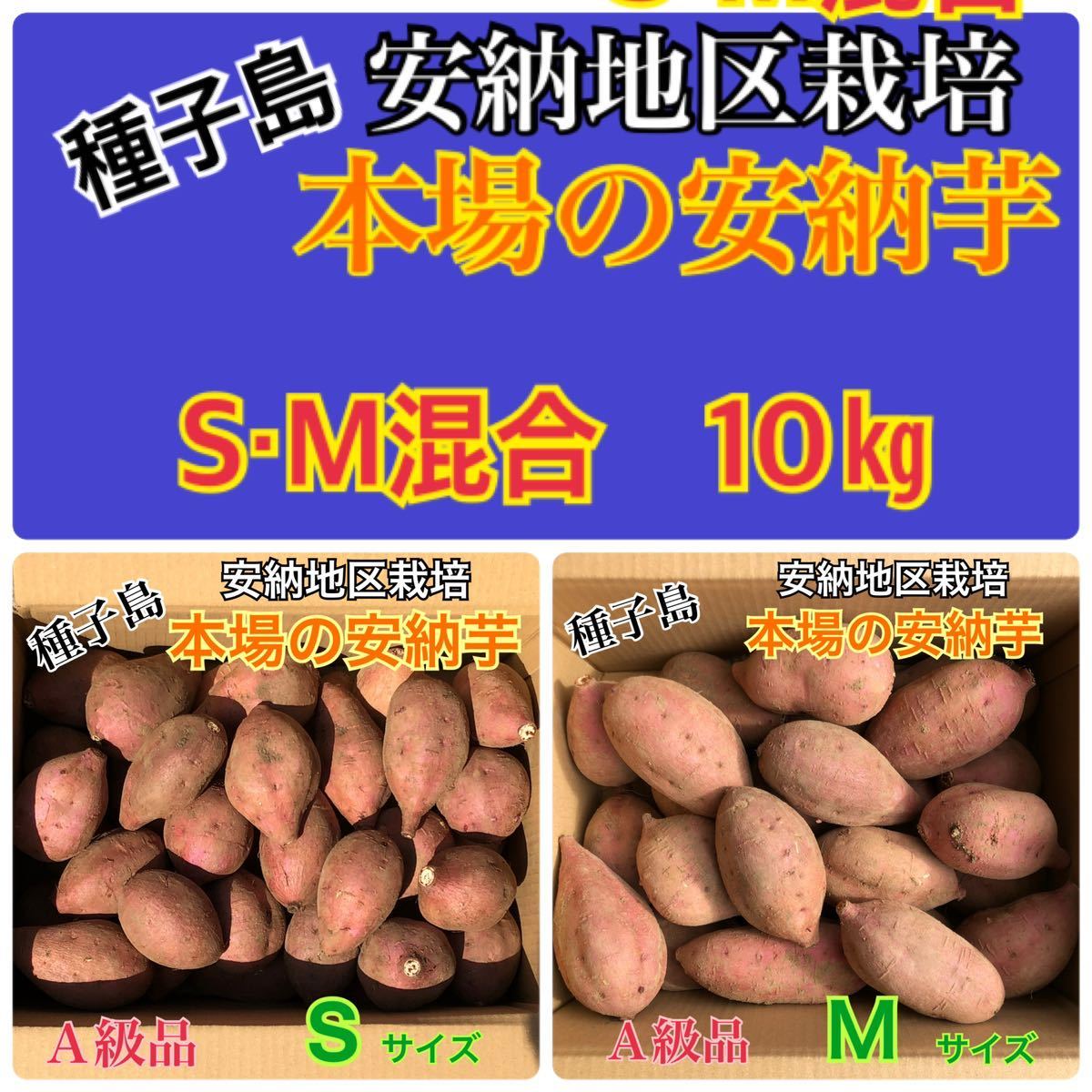 種子島　農家直送！安納地区の安納芋　S M混合10キロ　A級品_画像1