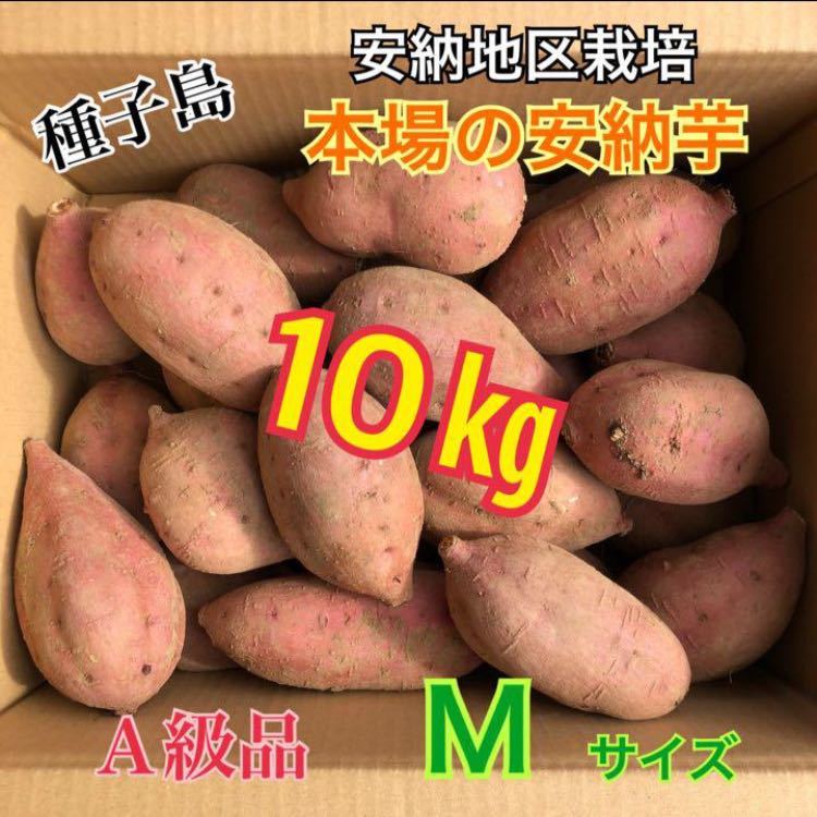 種子島　農家直送！安納地区の安納芋　M 10キロ　A級品_画像1