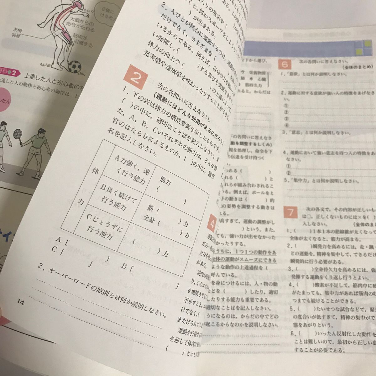 学研 新 中学 保健体育の学習 教材 教科書 問題集 解説 中学生 思春期 勉強 学習 脳の仕組み 運動 からだの発達 欲求 神経