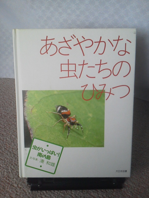 【クリックポスト】『虫がいっぱい！南の島／あざやかな虫たちのひみつ』湊和雄／大日本図書／初版_画像1