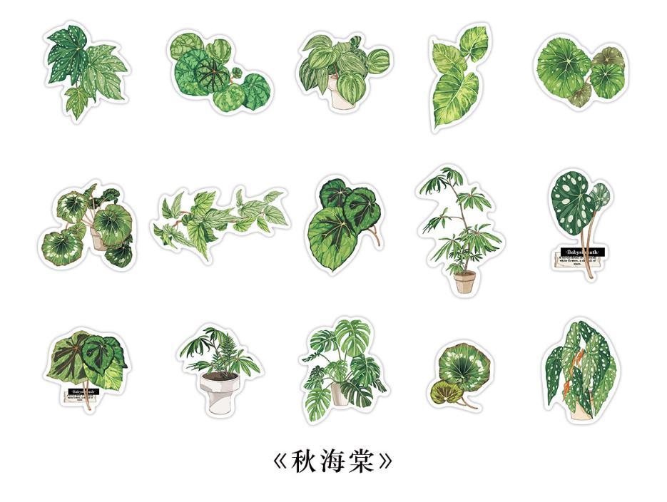 葉 観葉植物フレークシール シール ジャンクジャーナル レトロ 4種類