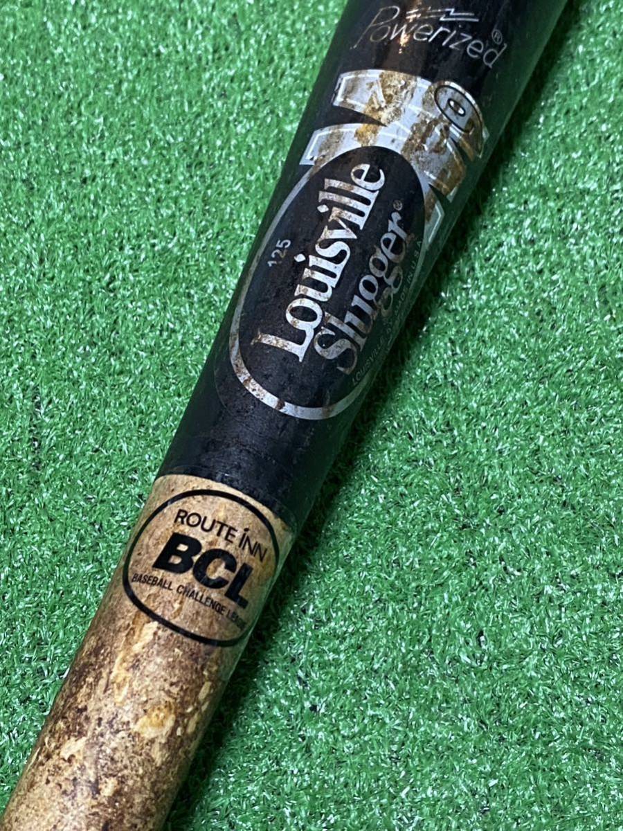 BCリーグ 高知ファイティングドックス (MLB レッドソックス他 BCリーグ 高知ファイティングドックス (MLB レッドソックス他