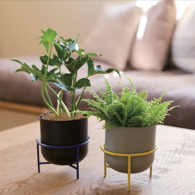  new goods prompt decision *Powder coated steel Nela13R* plant pot cover modern colorful lovely stylish 