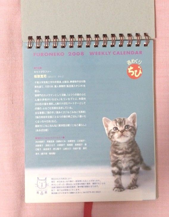 週めくり  写真カレンダー  子猫