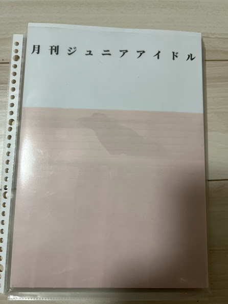 愛葉レナ（れな）　３SET 井坂里緒菜 　２SET　　　　月刊Juniorアイドルメモリアルファタグラフィズ_画像1