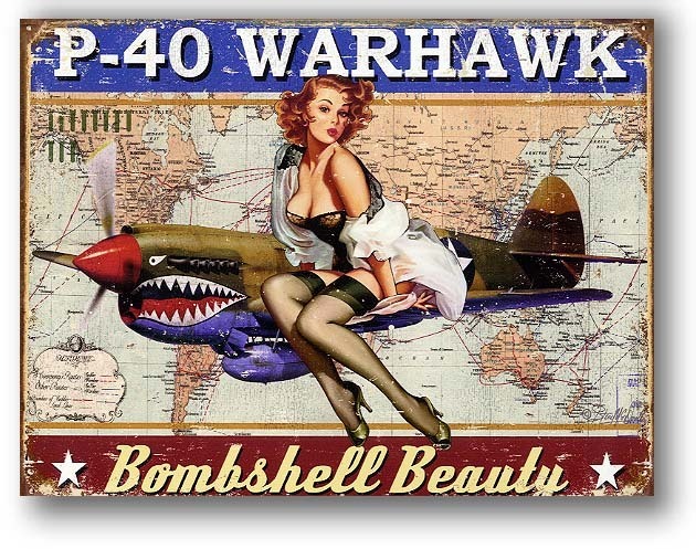 P-40 ウォーホーク＆ピンナップガール レトロ調 アメリカンブリキ看板 アメリカ 雑貨 アメリカン雑貨 メタルプレートの画像1