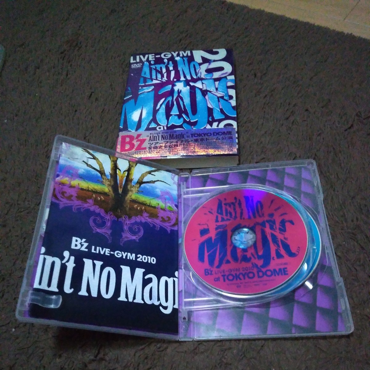 DVD B’z LIVE-GYM 2010 “Ain’t No Magic” at TOKYO DOME 稲葉浩志 松本孝弘_画像3