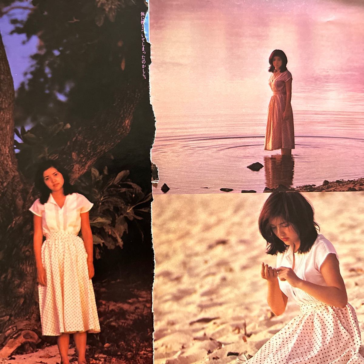 10412　切抜き　水沢アキ　ピンナップ　グラビア14Ｐ　ビキニ　表紙　1970年代_画像7