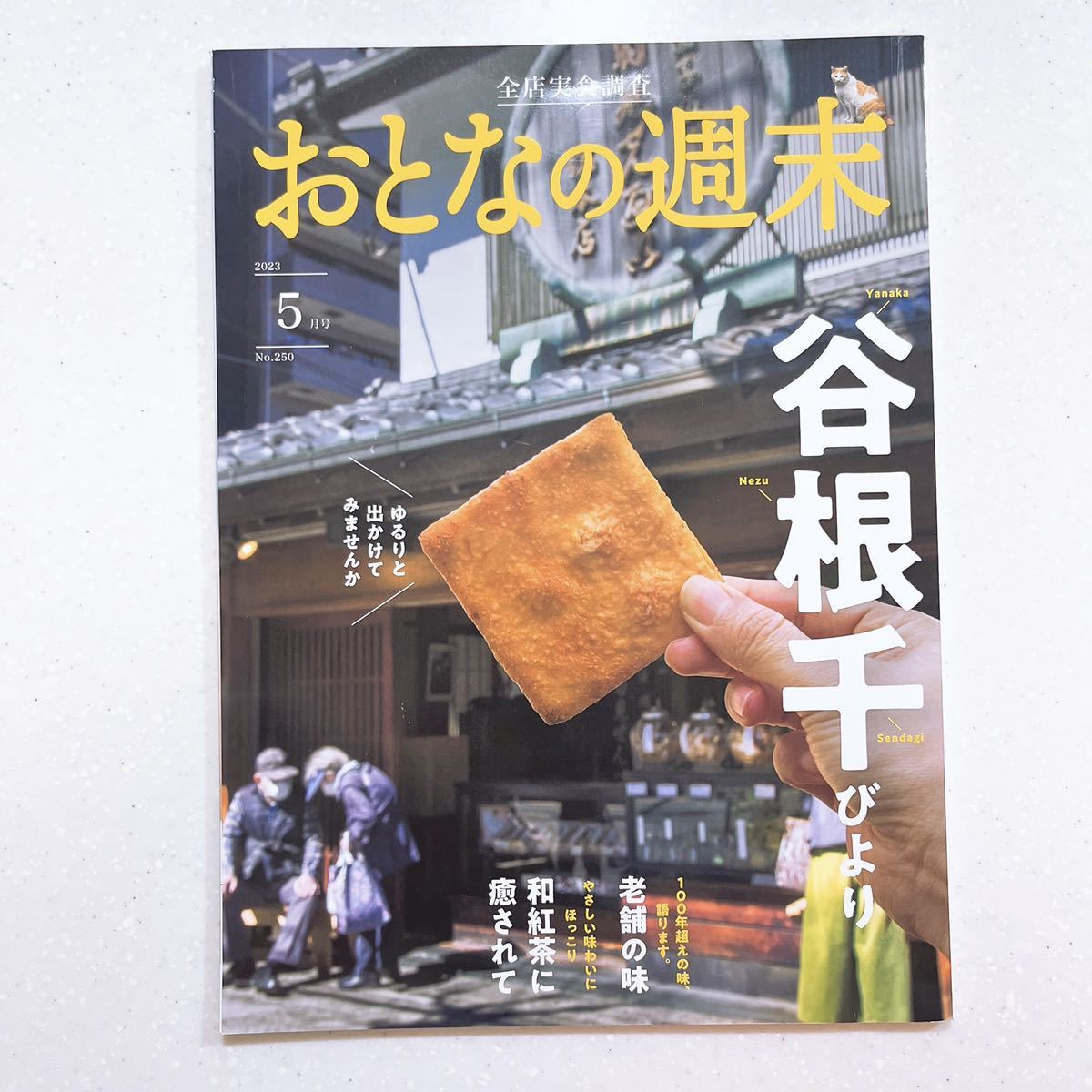 おとなの週末 2023年 05 月号 【ゆるりと出かけてみませんか　谷根千びより】_画像1