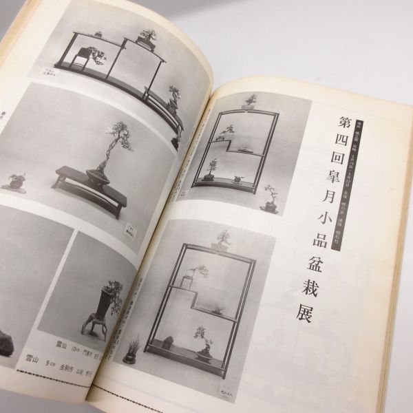 盆栽世界 1977年8月号 昭和52年 図解 柳の挿し木仕立て 樹石社 盆栽 園芸 レトロ 本/D1_画像6