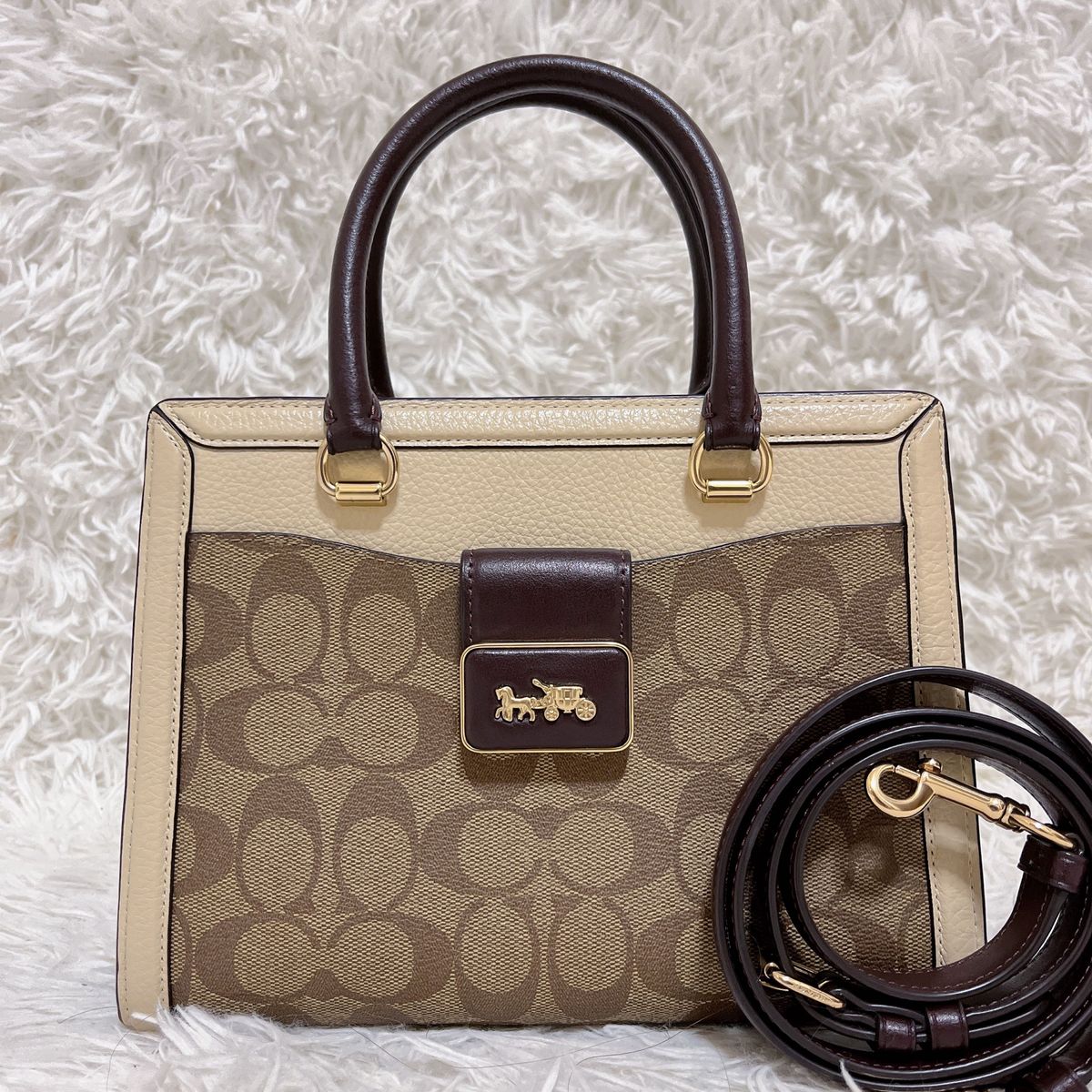 極美品 COACH コーチ グレースキャリーオール 2way ショルダーバッグ ハンドバッグ シグネチャー パイソン 馬車金具