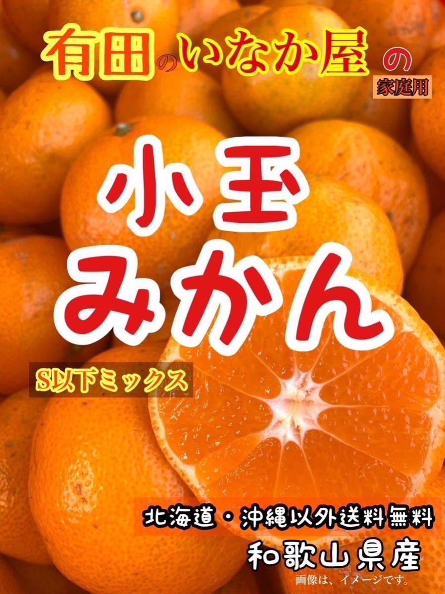 小玉　S以下　ミックス　和歌山県産　みかん　家庭用　数量限定　早い者勝ち　セール　特価価格_画像1