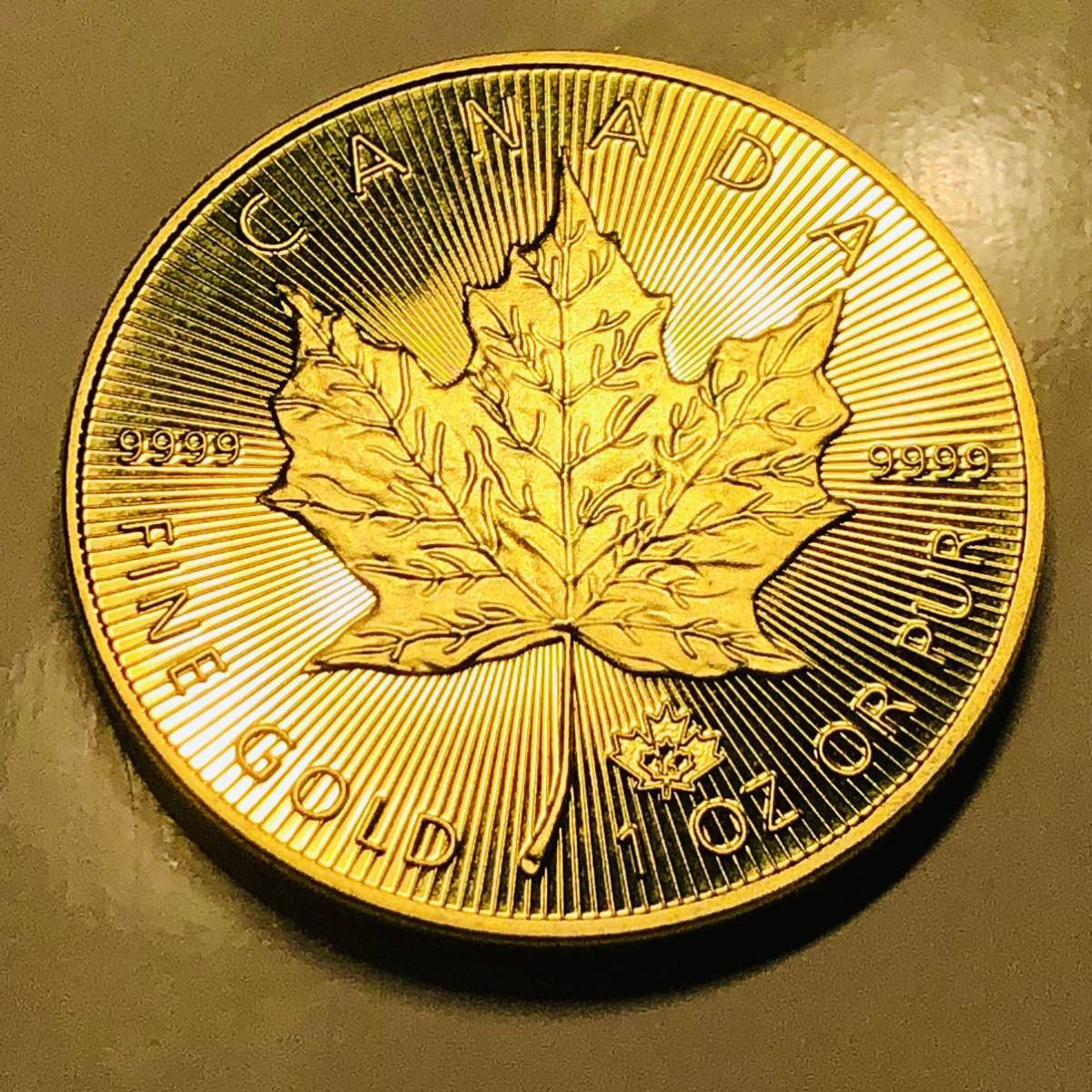 古銭　カナダ　エリザベス2世記念　2021年 大型金貨　メイプルリーフ金貨 カプセル付き_画像1