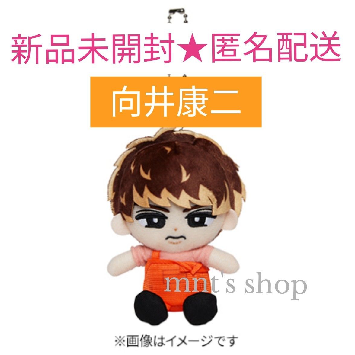 Snow Man 向井康二 すのチル キーホルダー ぬいぐるみver i DO Snow Man 向井康二 すのチル キーホルダー ぬいぐるみver i DO