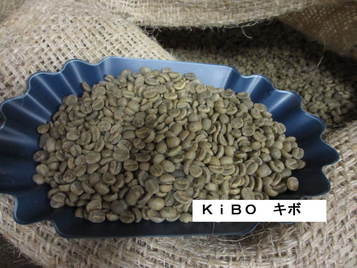 生豆　選べるキリマンジャロAA 　１ｋｇ　ハローコーヒー#1201_画像5