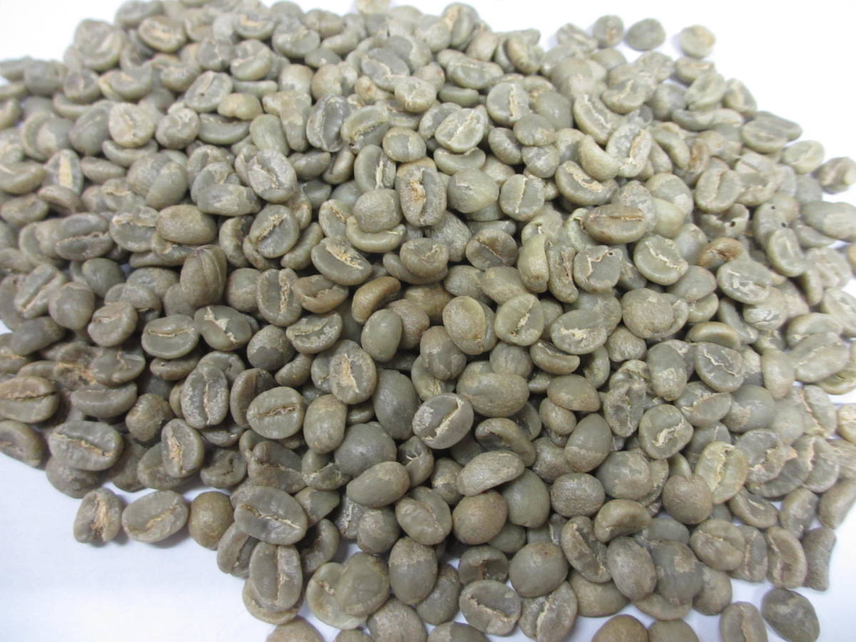 生豆　スペシャルグレード　選べる１０ｋｇ　ハローコーヒー　#1128_ケニアAA 新商品入荷