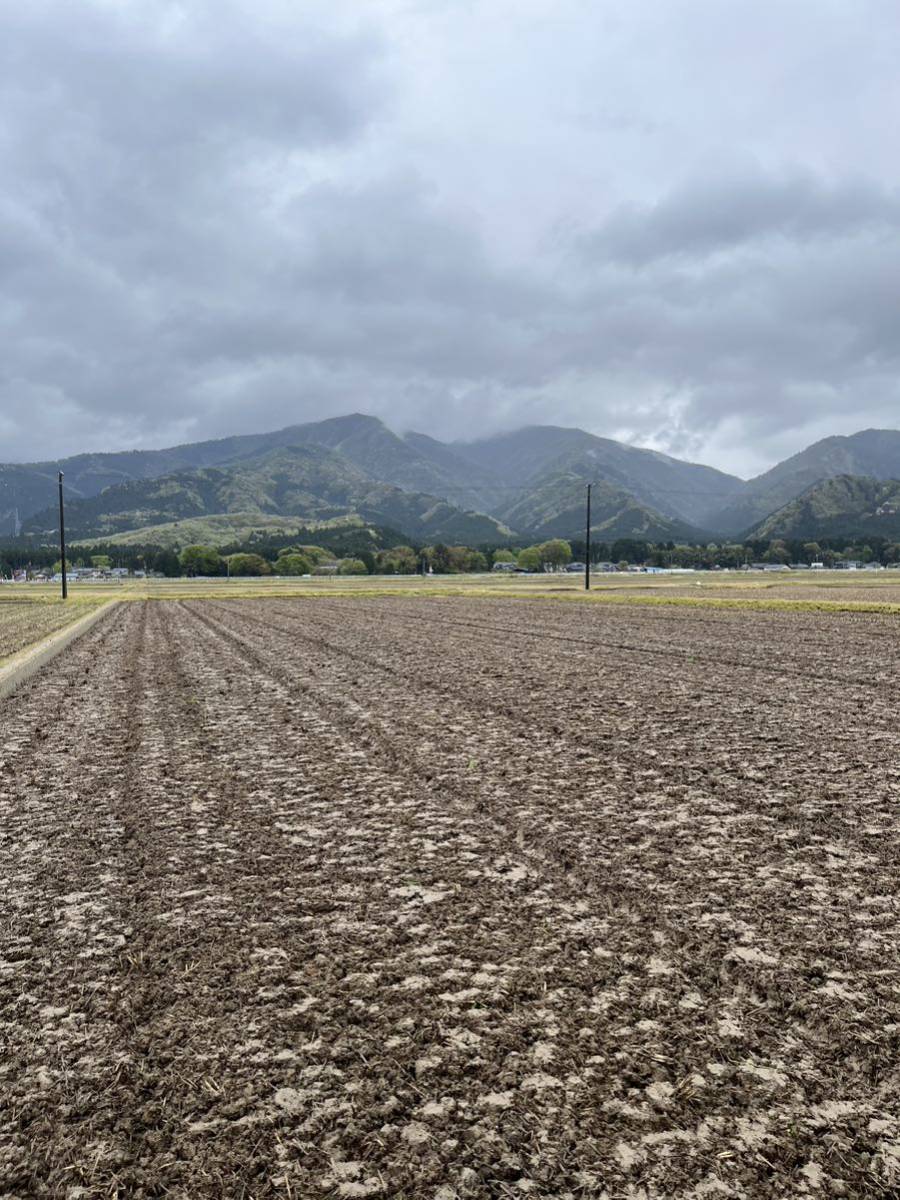 【新米】令和5年産！新潟県★新之助★30kg 農家直送！_画像4