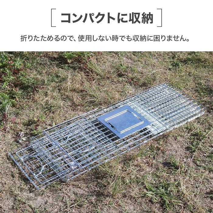 捕獲器 猫 踏板式 アニマルトラップ トラップ イタチ 駆除 捕獲 捕獲機 動物 罠 鼠 保護 庭 畑 餌 農業 アニマルキャッチャー KM314_画像6