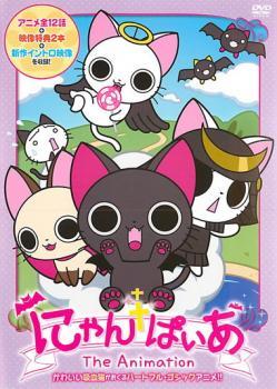 にゃんぱいあ The Animation レンタル落ち 中古 DVD_画像1