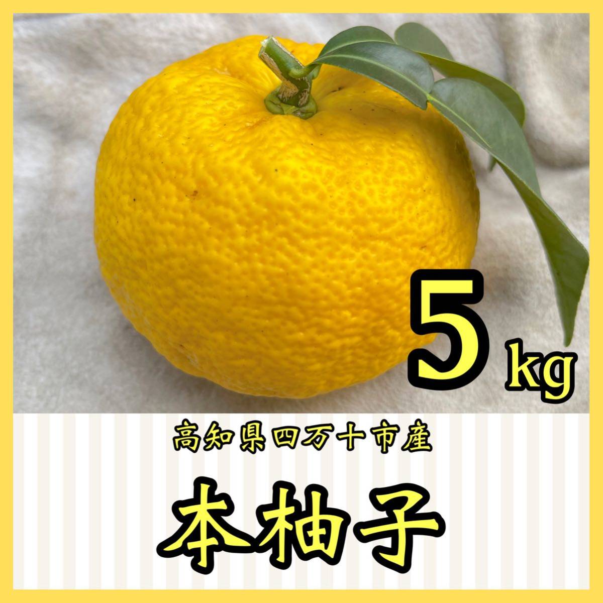 本柚子5kg YYS12_画像1