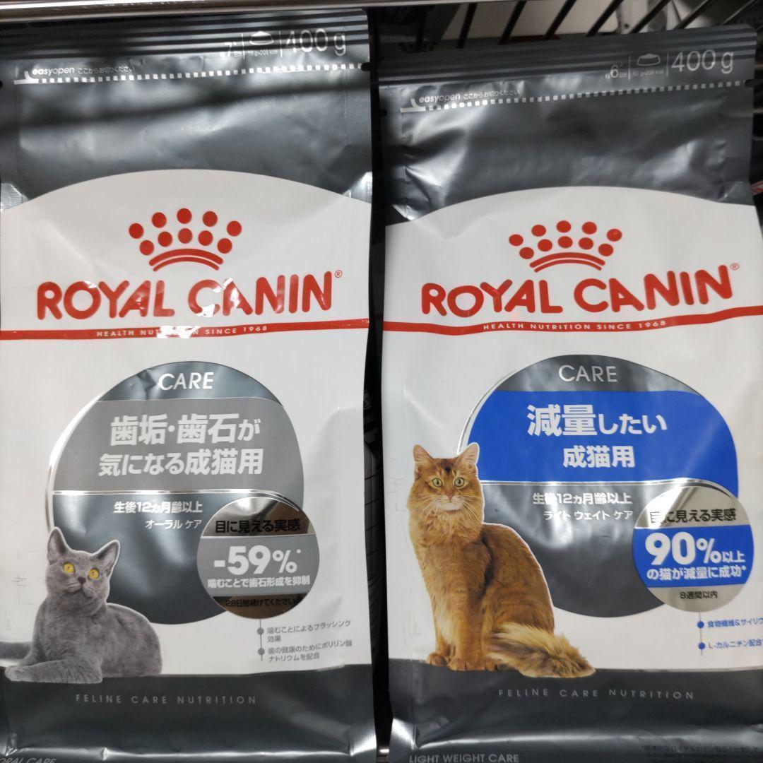  cat ..... Royal kana n cat . amount want to do cat . oral care cat food # key ... cat. forest cat food 
