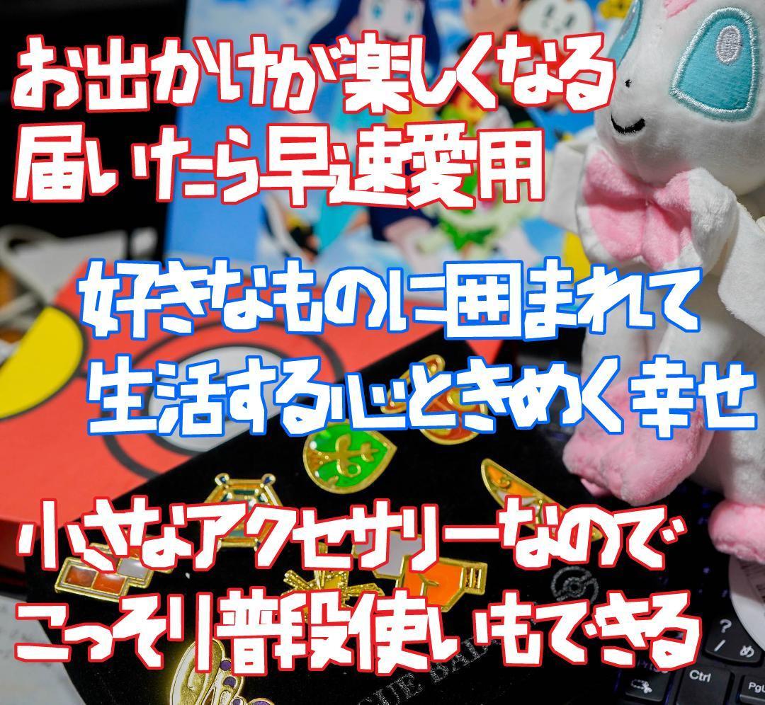バッジ ジムリーダー カロス地方 ポケモン セット 8種 リボン袋 バッジ ジムリーダー カロス地方 ポケモン セット 8種 リボン袋