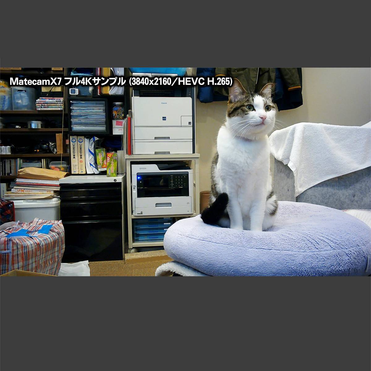 フル4K高画質 /MateCam X7 /SONY IMX258 /WIFIアクションカメラ /2160P 小型 基盤型_画像3