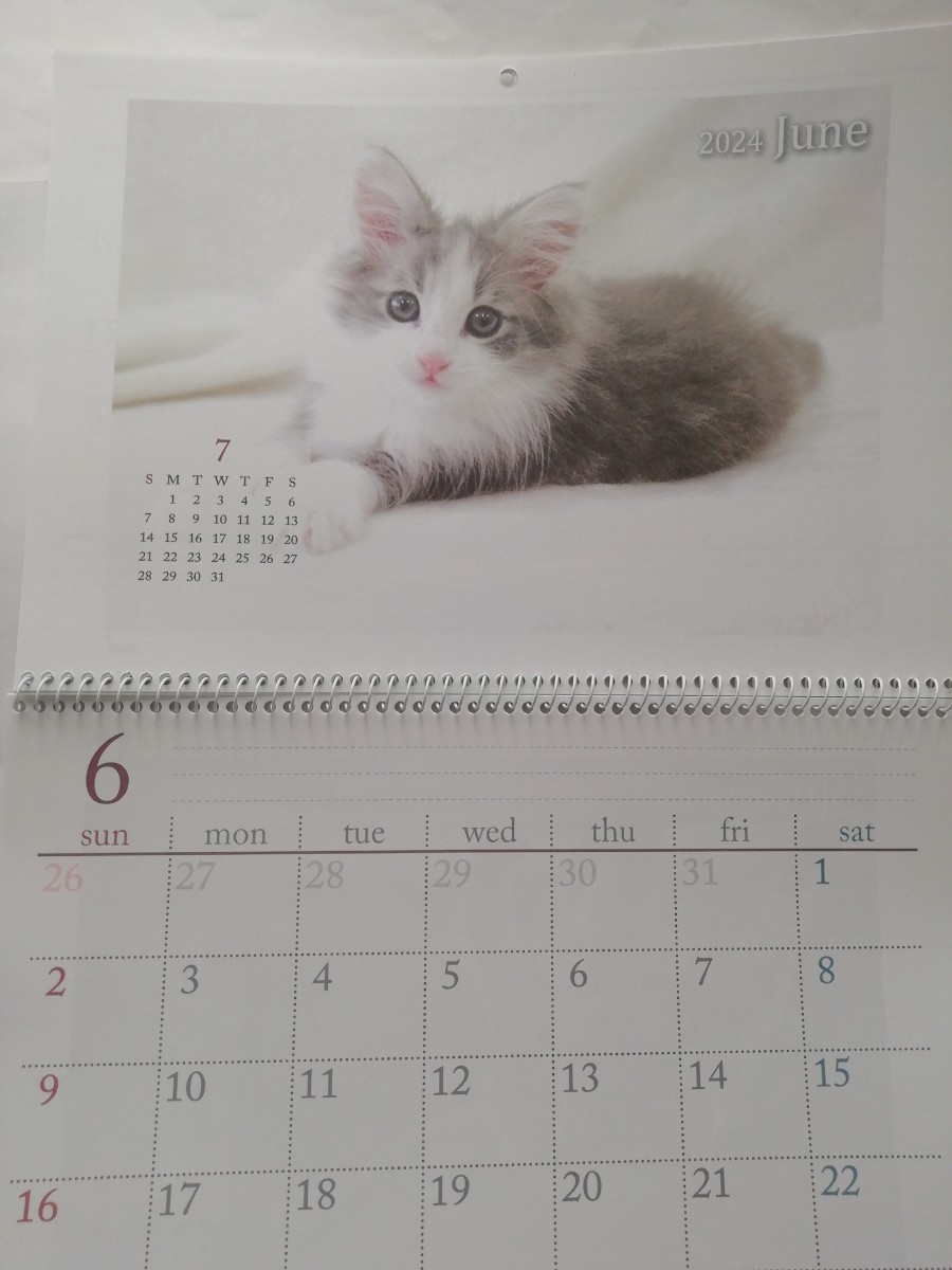 2024年猫の壁掛けカレンダー_画像6