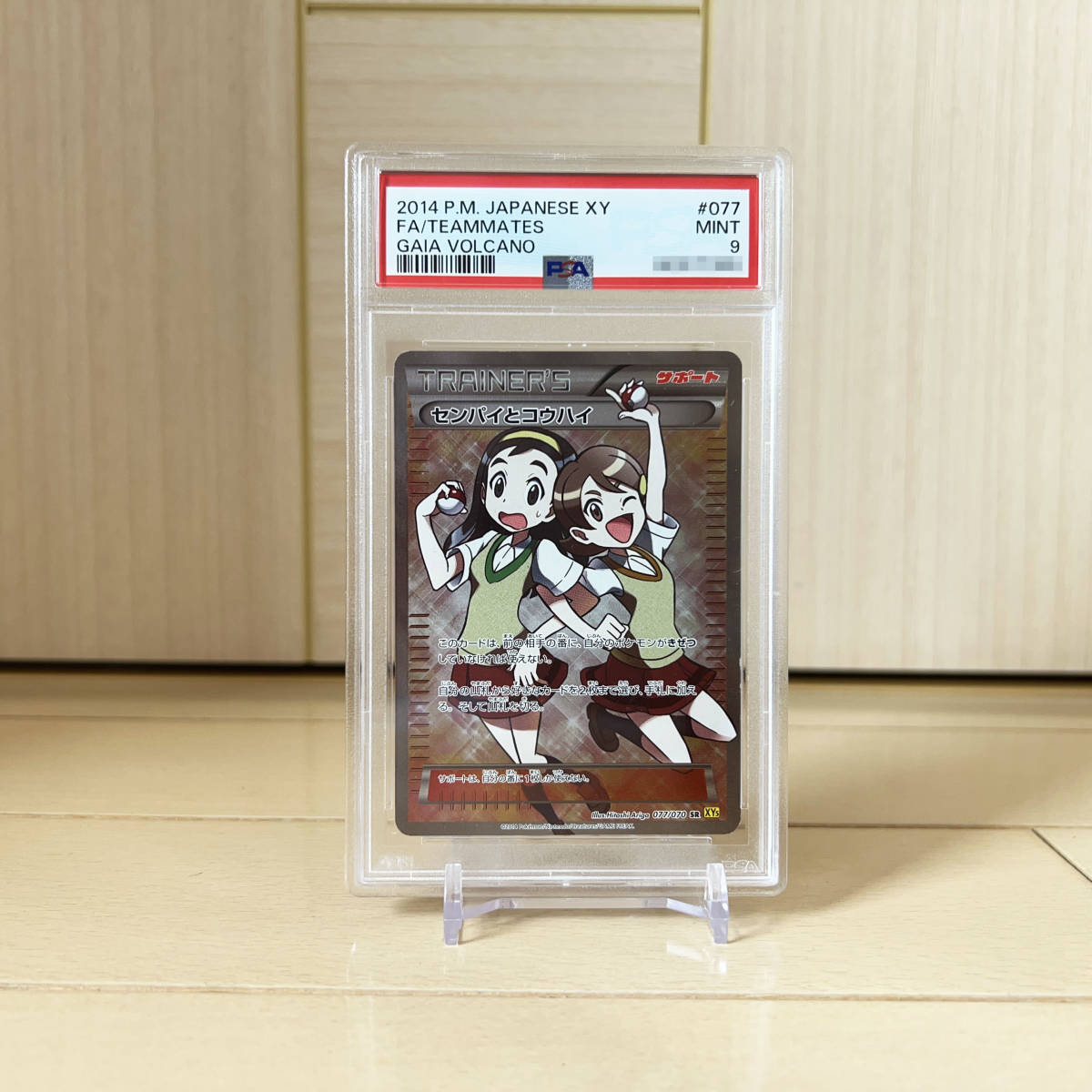 ポケモンカード PSA9 センパイとコウハイ【SR】XY5 拡張パック ガイアボルケーノ ポケカ 077/070 送料無料_画像1