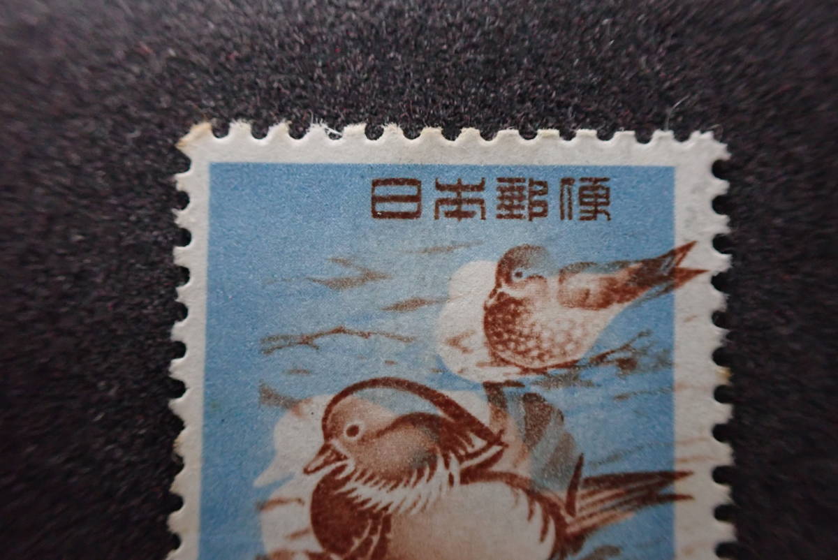 ◆希少◆エラー切手　日本切手　1955年　第1次円単位　おしどり　5円　未使用◆茶の印刷ずれ◆①_画像2