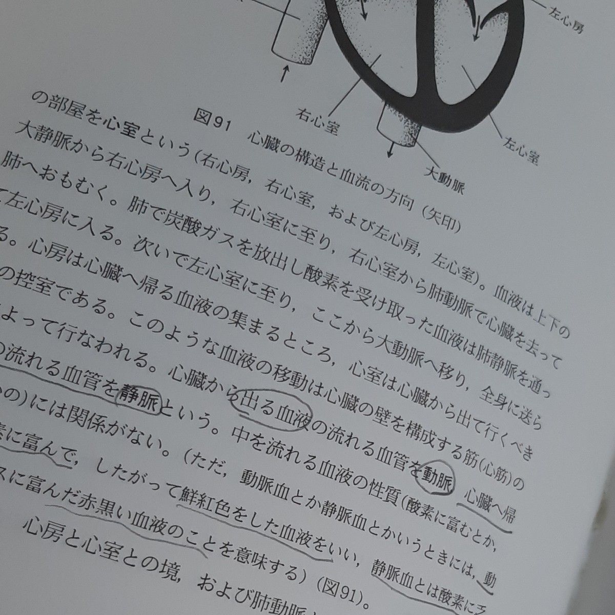 わかりやすい　解剖　生理学　鳳山社　医学　看護　資格試験　教材　参考書　人体