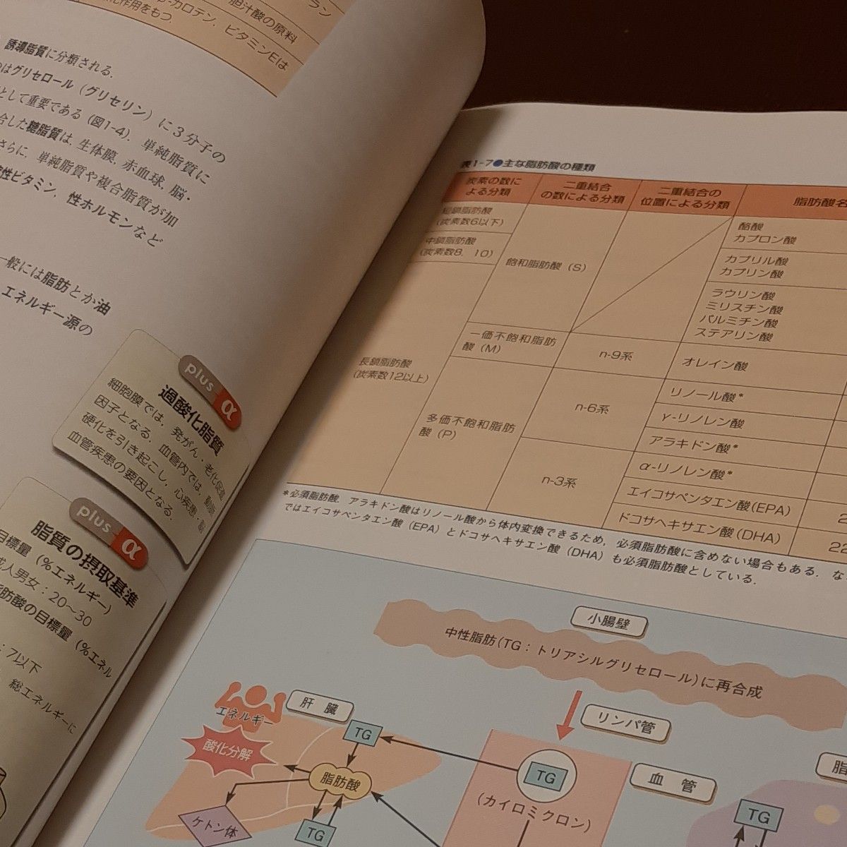 臨床栄養学 （ナーシング・グラフィカ　疾病の成り立ち　４） （第４版） 關戸啓子／編　看護学校　教科書　資料　参考