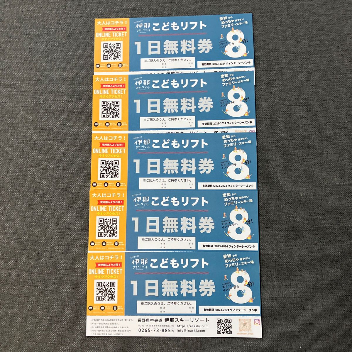 こどもリフト無料券6枚セット 伊那スキーリゾート 駒ヶ根高原