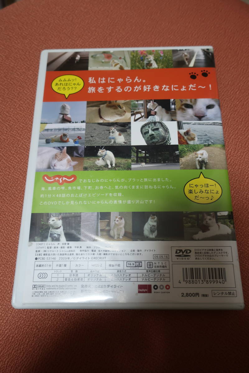 ★DVD★デイライト★ポニーキャニオン★にゃらんたび　ムムムッ篇★猫動画★封筒便せん付き★_画像2