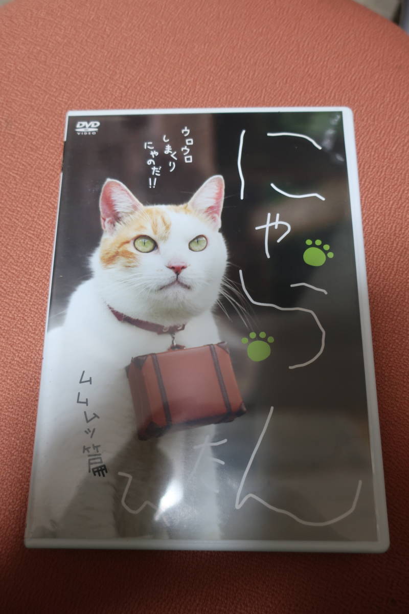 ★DVD★デイライト★ポニーキャニオン★にゃらんたび　ムムムッ篇★猫動画★封筒便せん付き★_画像1