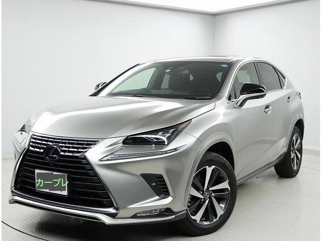 10系 レクサス LEXUS NX ボディ同色 フェンダーアーチモール 10系 レクサス LEXUS NX ボディ同色 フェンダーアーチモール