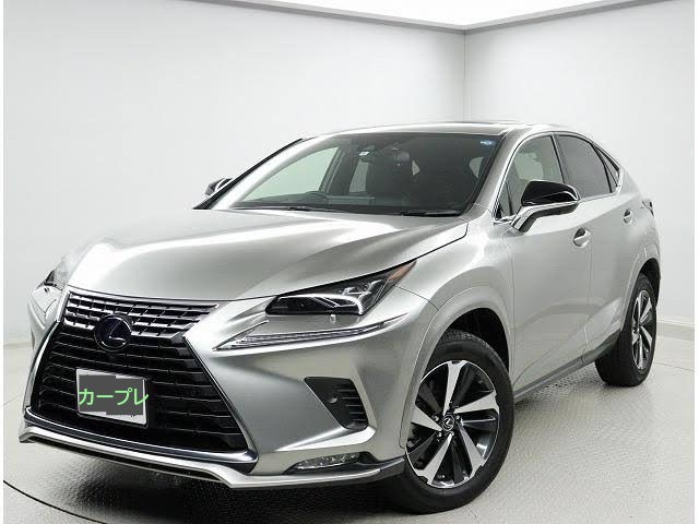 10系 レクサス　LEXUS　NX　ボディ同色　フェンダーアーチモール　カラード　各色　１台分　新品　レクサス純正品 両面テープ付