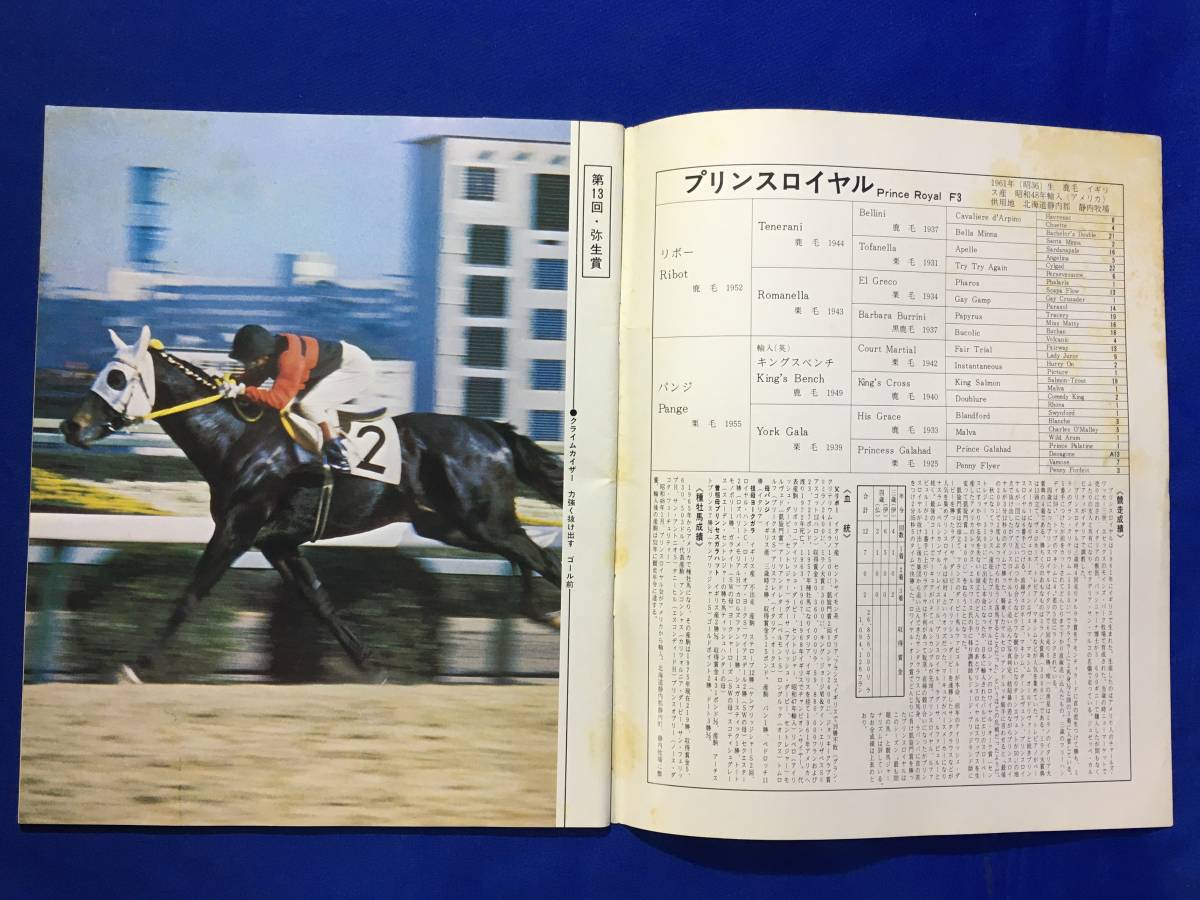 CL79m●優駿 1976年5月 日本中央競馬会 プリンスロイヤル/第13回弥生賞/第25回スプリングS/1975年欧米の主要レース/昭和51年_画像3