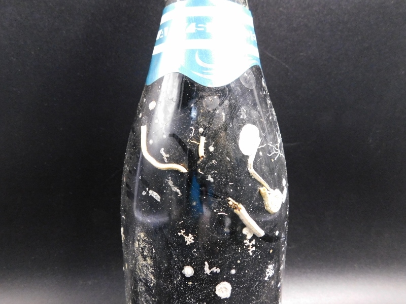 海底熟成シャンパーニュ アビス グランクリュ 2008年 M. Hostomme Abysse Champagne ボトルナンバー 499 ビンテージ シャンパン_画像5