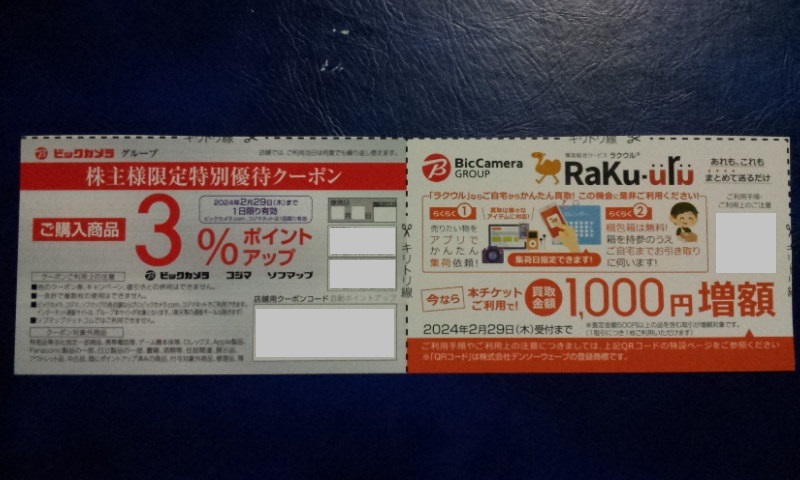 2024年5月31日迄★ ビックカメラ株主優待券＋コジマ株主優待券 1,000円券×18枚(18,000円分)＋優待クーポン_画像8