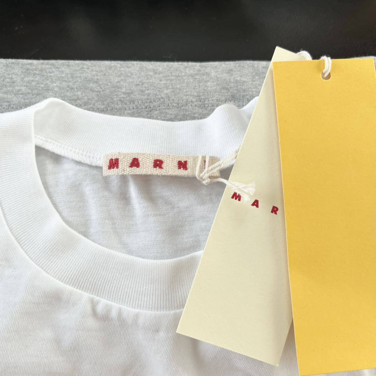 MARNI マルニ　ロゴ入り 半袖Tシャツ　カットソー　グレー　XSサイズ_画像4