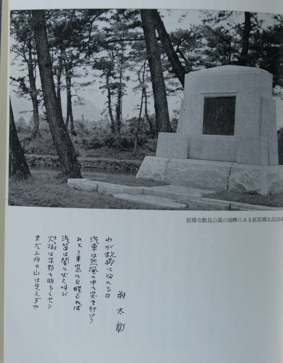 日本の名詩 鑑賞のためのアンソロジー （大和書房） 小海永二／編（単行本）の画像3